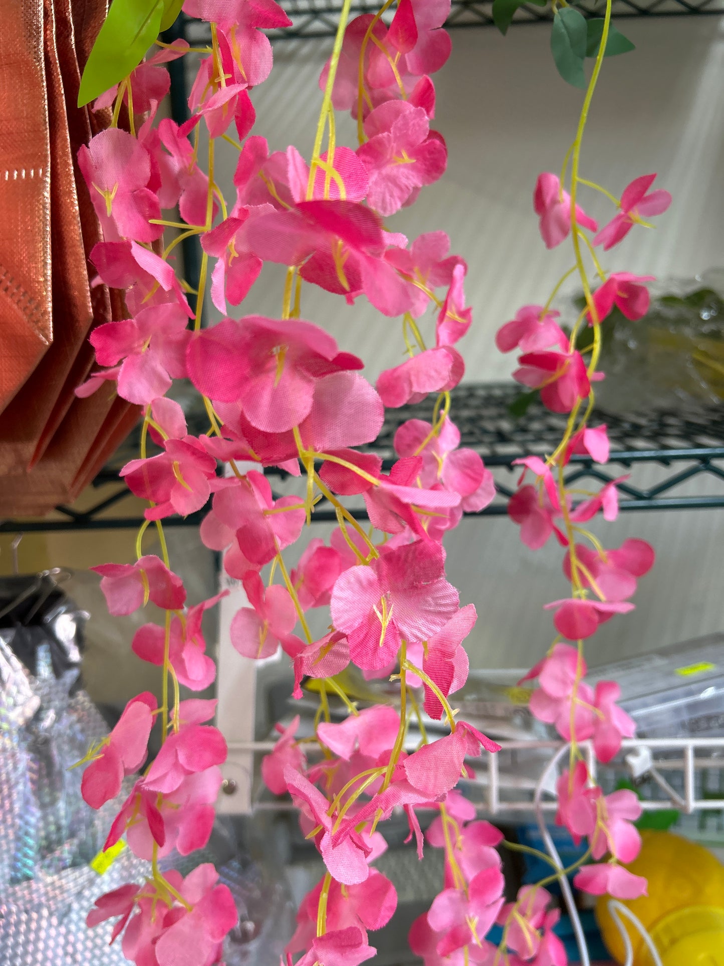 Flores