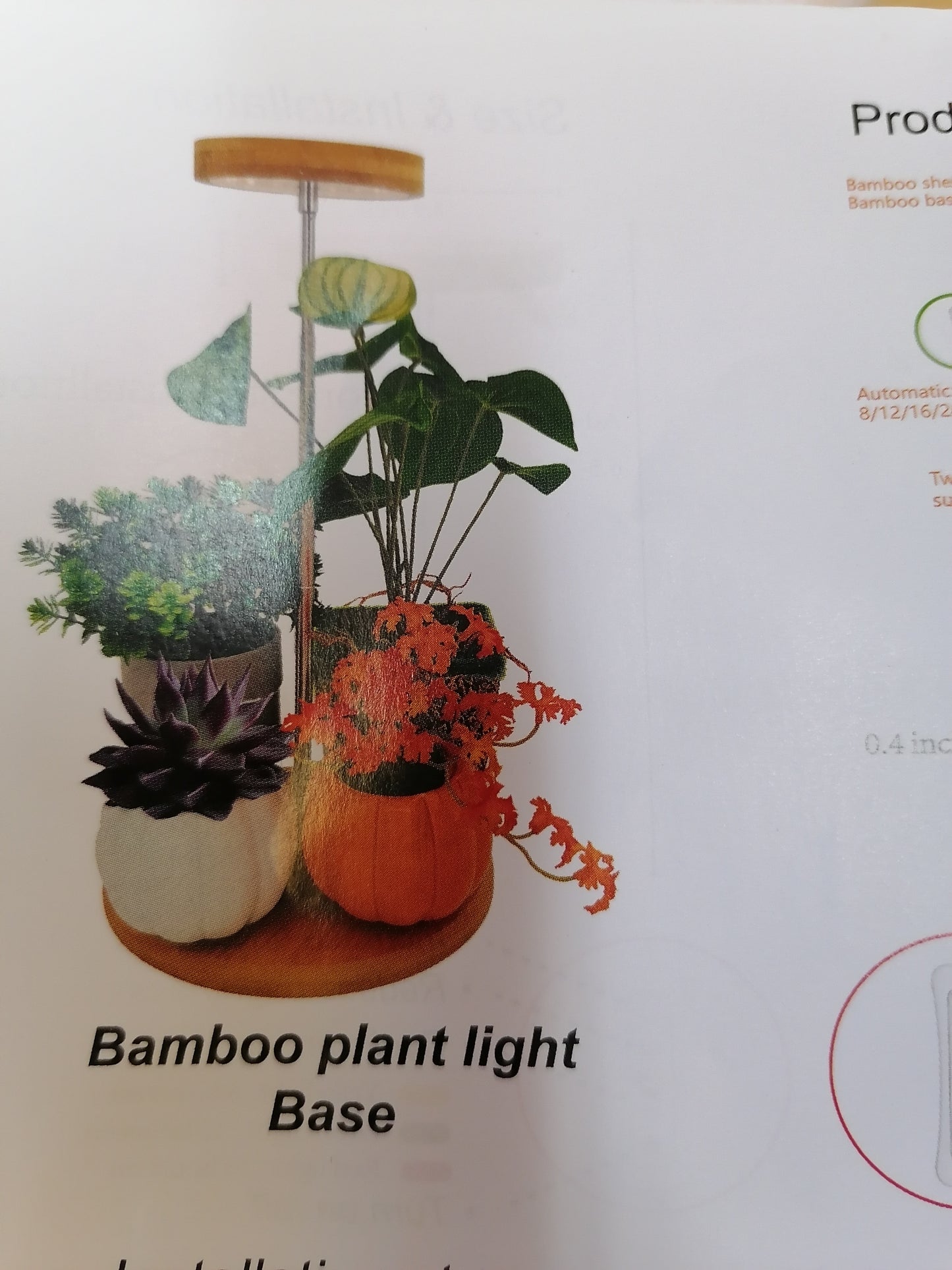 Luz para plantas